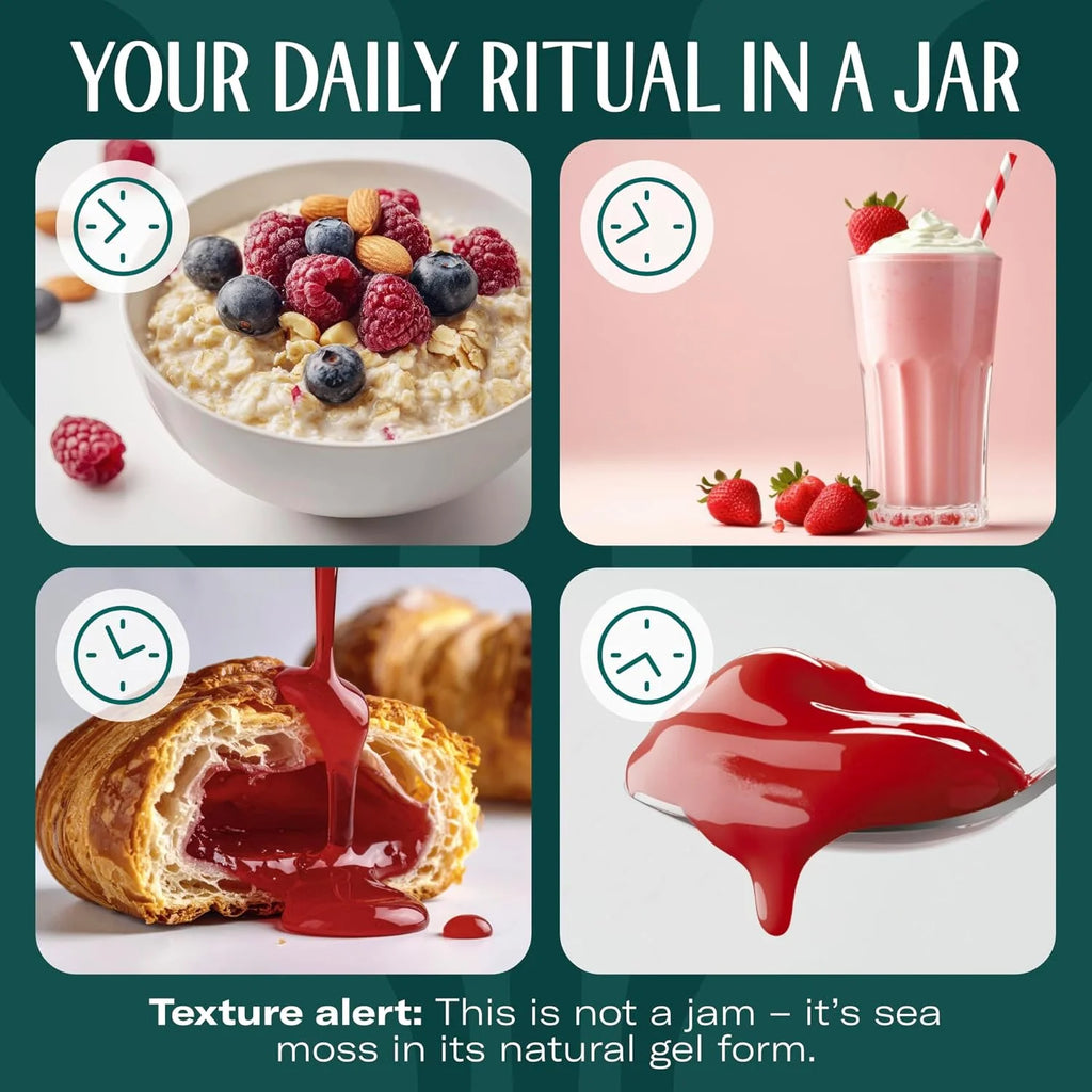 Wildcrafted Irish Sea Moss Gel Superfood - Strawberry, Pack of 3 Organic Seamoss - Made in USA